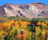 Leaf-peeping around the world: Where to see autumn's best colours