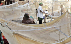 孟加拉国登革热死亡病例升至283例，专家预警11月后仍处高风险期