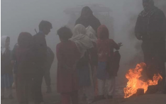 巴基斯坦旁遮普省遭严重雾霾侵袭，多城空气质量达危险水平