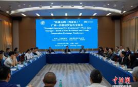 广西与沙特阿拉伯寻求矿业合作机遇