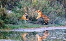 श्रीलङ्कामा वन तथा वन्यजन्तु संरक्षणको लागि “वाना सुराकुमा”कार्यक्रम सुरु