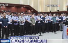 白家犯罪集团案一审宣判：白所成等5人被判死刑