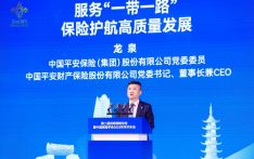 平安产险龙泉：服务共建“一带一路”，护航高质量发展