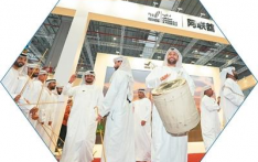 侨力涌动中东 共拓合作新蓝海