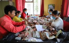 पाथीभरामा ३४ लाख ४८ हजारभन्दा बढि भेटी सङ्कलन