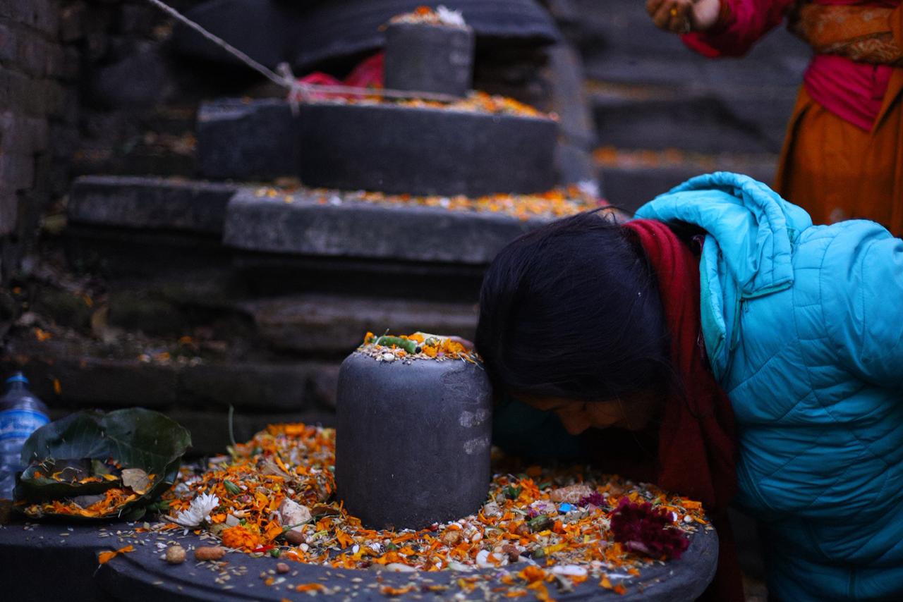 8669d2f4-f2bc-4bf3-bed5-3bbc25eeb398