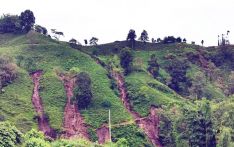 चियामा चार करोडभन्दा बढीको क्षति