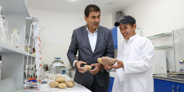 中方技术助力乌兹别克斯坦提升马铃薯产量