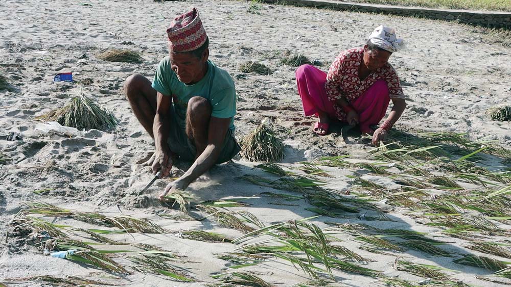 Dhan_Pratik-Ichchuk3