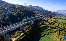 中老铁路开通运营四年 黄金大通道效应持续放大