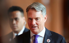 澳大利亚国防部长访日 加强战略联盟与防务合作