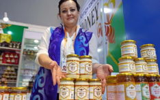 官员称“一带一路”为吉尔吉斯斯坦城市带来新的贸易机遇