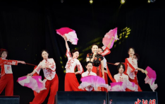 巴西利美拉举办“中国文化日”