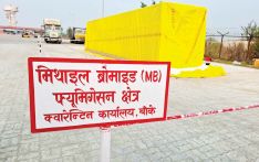 पचास वर्षमा ऐन कार्यान्वयन , सल्लाको आँख्लाको निर्यात सुरु