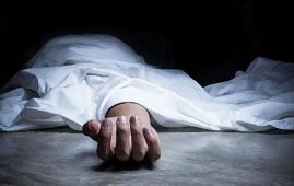 One killed in elephant attack in Morang