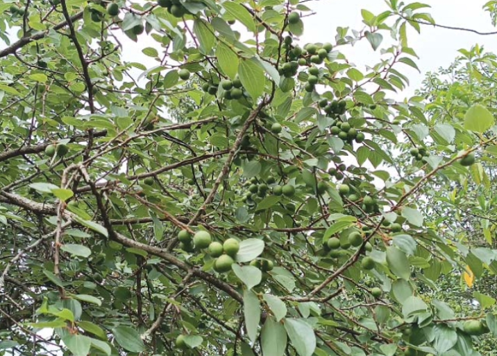 屏幕截图 2025-12-27 144015