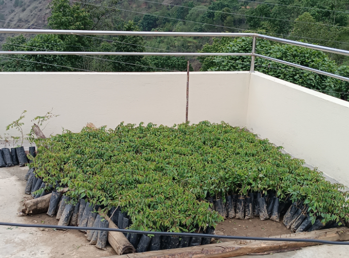 屏幕截图 2025-12-27 144026