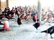Pheasant farm earns Rs. 3M, outshines foreign jobs