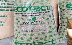 Sindhupalchowk coffee trade crosses Rs. 30 million