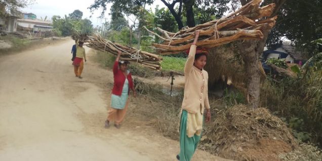 थारू बस्तीमा माघको रौनक सुरु