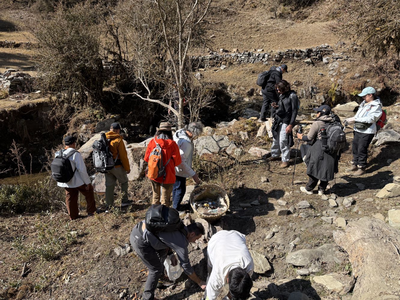 Image_2026-01-05_092319_528