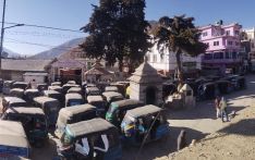 चुरेमा प्रहरीद्वारा ५१ हजार गाँजाका बोट नष्ट