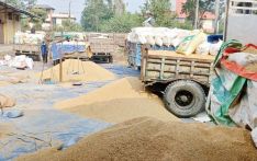 एक लाख बत्तिस हजार क्विन्टल धान खरिद