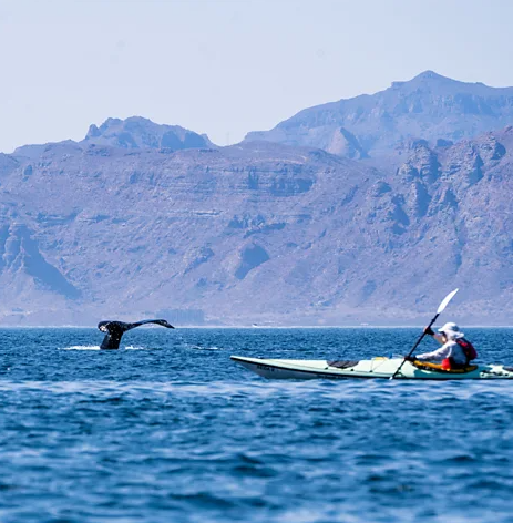 ScreenShot_2026-01-09_103713_064