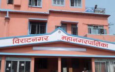 विराटनगरको बजेट बिस प्रतिशत कटौती