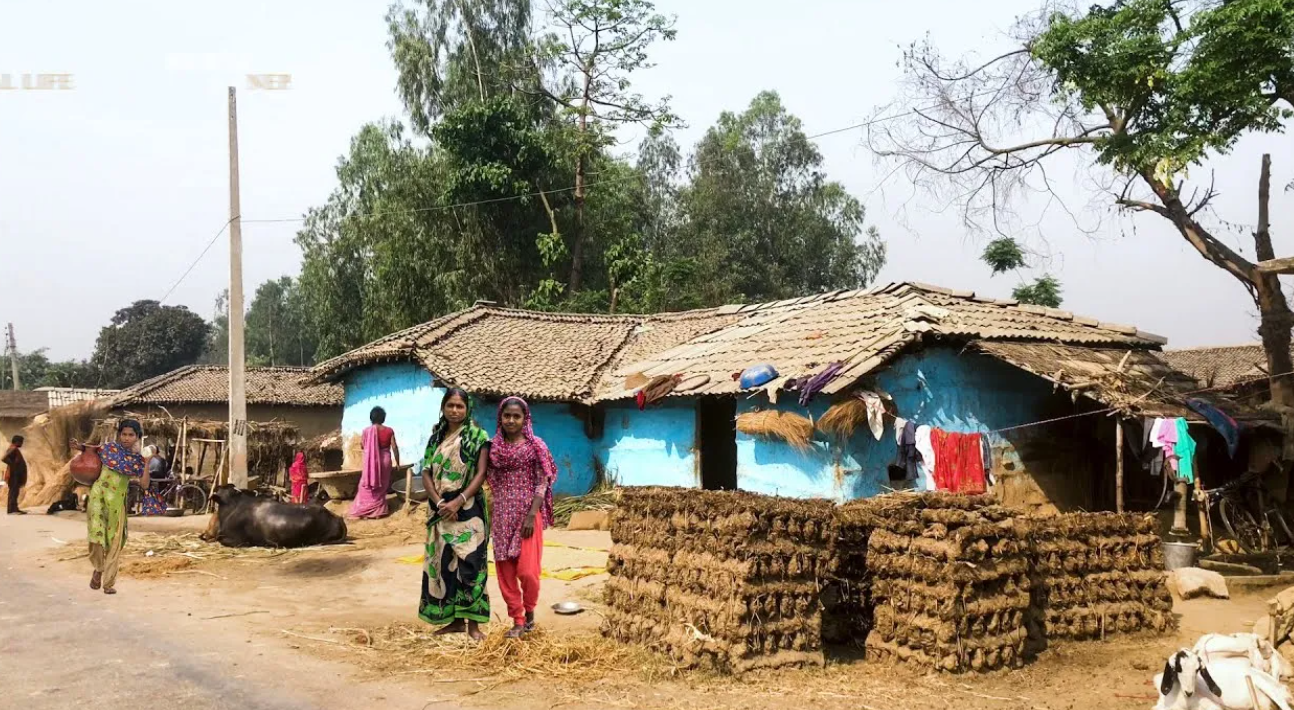 屏幕截图 2026-01-11 140719