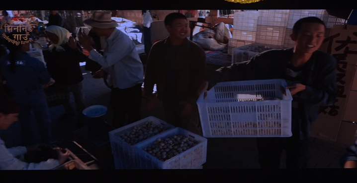 第四届中尼媒体峰会：山海情反馈影响