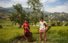 尼泊尔地方贫困差距依然显著