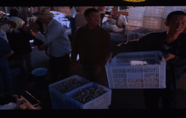 第四届中尼媒体峰会：山海情反馈影响