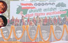 ५६.१२ प्रतिशत प्रतिनिधि सहभागी