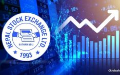 NEPSE goes up 42 points