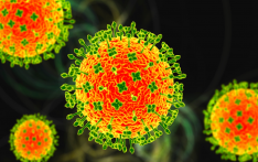 印度尼帕病毒疫情引发周边国家加强入境筛查措施