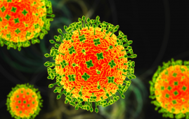 印度尼帕病毒疫情引发周边国家加强入境筛查措施