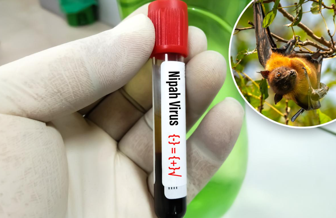 屏幕截图 2026-01-30 144154