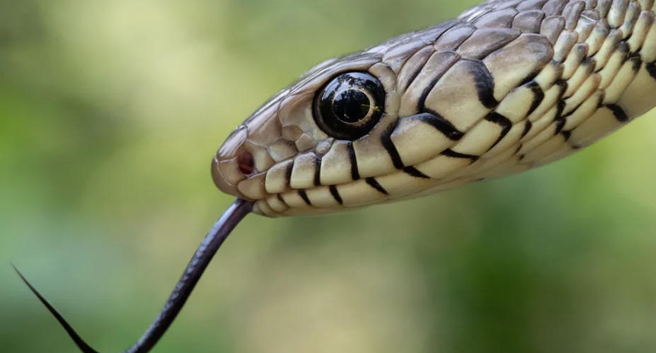 ScreenShot_2026-02-02_113421_476