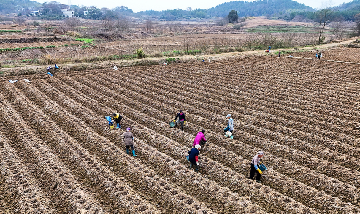 屏幕截图 2026-02-04 140720