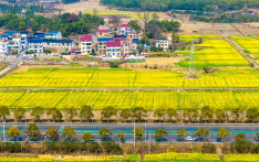 中国2026年度中央一号文件发布 聚焦农业农村现代化和乡村全面振兴