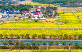 中国2026年度中央一号文件发布 聚焦农业农村现代化和乡村全面振兴