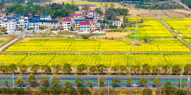 中国2026年度中央一号文件发布 聚焦农业农村现代化和乡村全面振兴