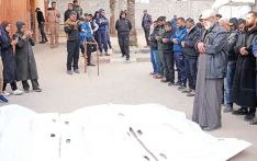 Over 550 killed after Gaza ceasefire