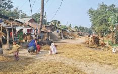 चुनावको नामबाटै झस्किन्छन् विपन्न बस्तीका नागरिक