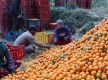 Orange worth Rs 316 million produced in Myagdi