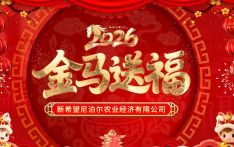 新希望尼泊尔农业经济有限公司新年恭贺视频