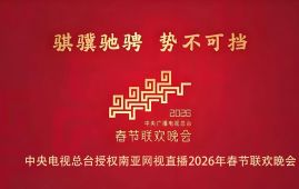 连续四年授权！南亚网视邀您共赏2026年央视春晚
