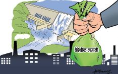 यस्ता छन् वैदेशिक लगानीमा स्वचालित स्वीकृति पाउने उद्योग