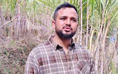 Reviving fallow land through sugarcane cultivation